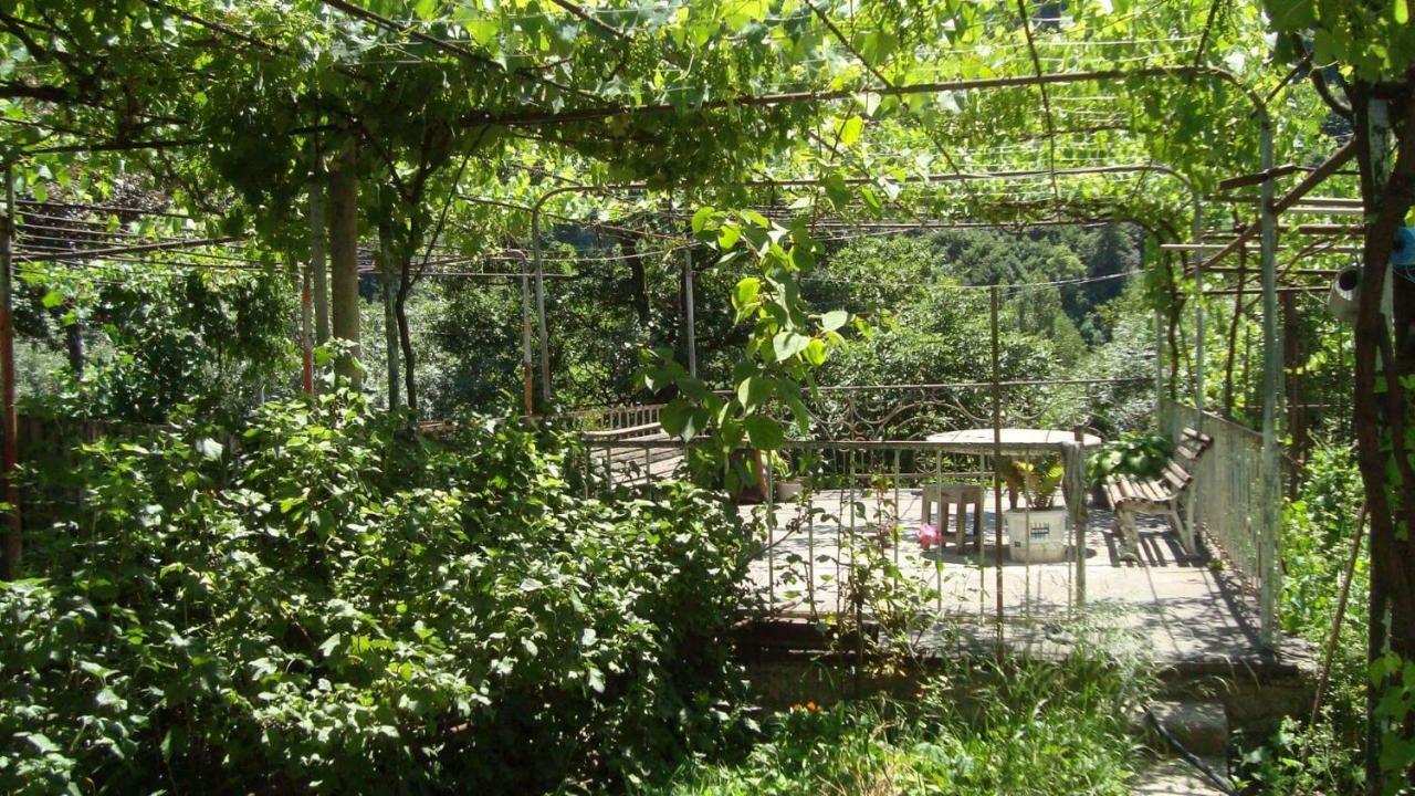 Guesthouse Valeria بورجومي المظهر الخارجي الصورة
